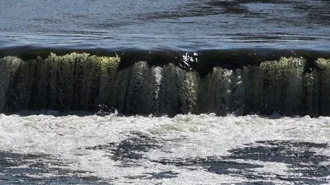 Jumping of fish in slow motion. Stock Footage 106574764