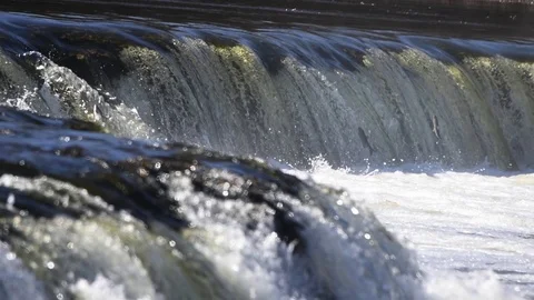 Jumping of fish in slow motion. Stock Footage 106574788