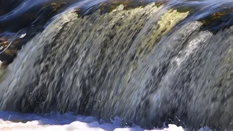 Jumping of fish in slow motion. Stock Footage 106574809