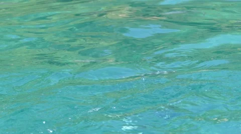 Jumping fish in turquoise sea Stock Footage 68148586