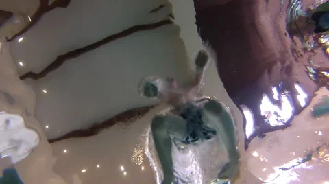 Jumping in Stock Footage 47489453