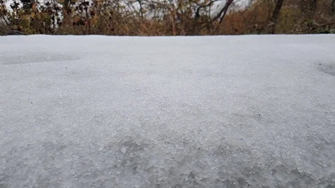 Jumping on fresh snow, slow motion Stock Footage 81744341