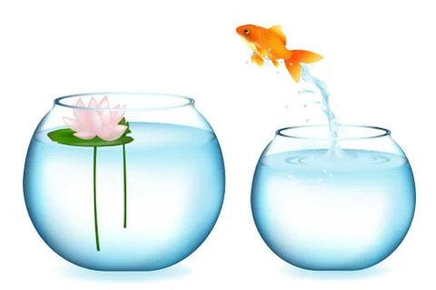 Jumping goldfish Stock Illustration