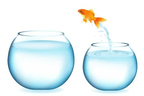 Jumping goldfish Stock Illustration