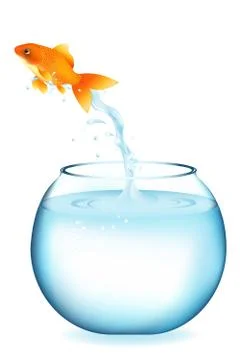Jumping goldfish Stock Illustration