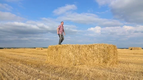 Jumping on the hay Stock Footage 71308296