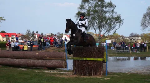 Jumping horse Stock Footage 49652703