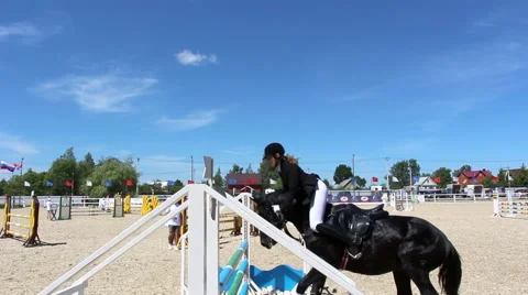 Jumping. horse jumping Video stock 51104344