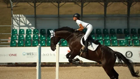 Jumping with a horse over obstacle Stock Footage 86455531