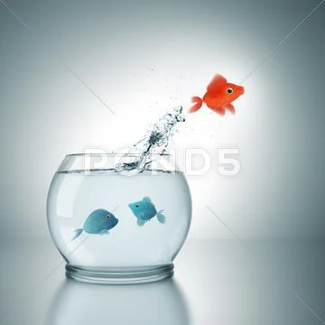 Jumping Stock Illustration