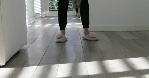 Jumping jack cat little acrobat  funny kitty Stock Footage 153646178