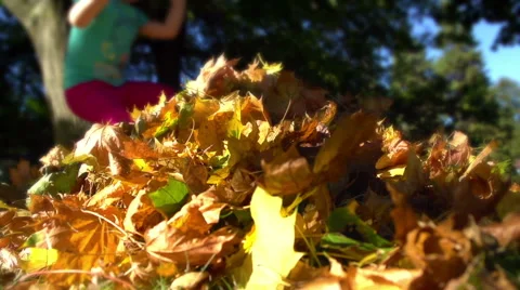Jumping into Leaves - Super Slow Motion 스톡 동영상 54092752