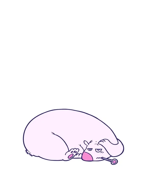 Jumping motion animation of bear with a sore head Stock Footage 324474963