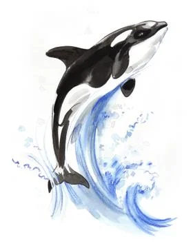 Jumping orca Illustrazione stock
