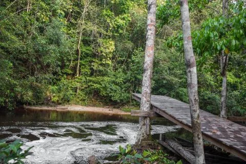 Jumping platform above the Amazon River surrounded by rainforest in Brazil Stock Photos