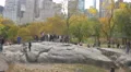 Jumping on the rock in Central Park New York City 4k or 4k+ Resolution