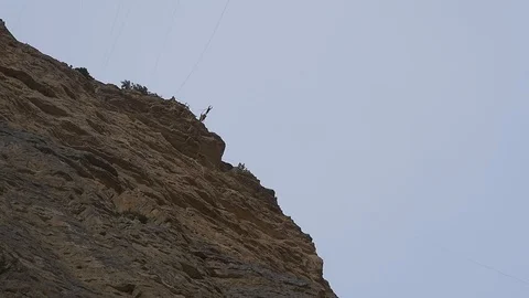 Jumping with a rope from a cliff Stock Footage 85663883