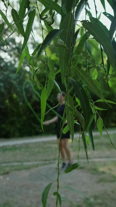 Jumping rope in the park is not only fun but also healthy A man maintains his Stock Footage 303818214