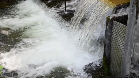 Jumping Salmon 2A Stock Footage 115075275