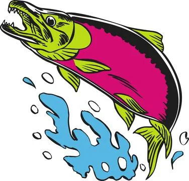 Jumping Salmon Fish Vector Illustration Ilustración de archivo