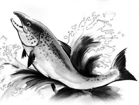 Jumping salmon Stock Illustration