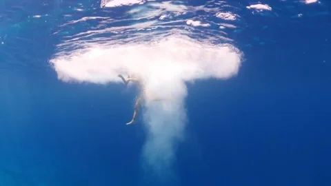 Jumping in to the sea Video stock 72290786