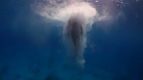 Jumping in to the sea Video stock 72290994