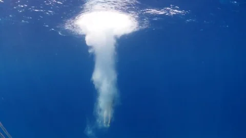 Jumping in to the sea Video stock 72291262