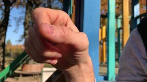 Jumping Spider insect on the human skin of hand, macro closeup Stock Footage 164996961