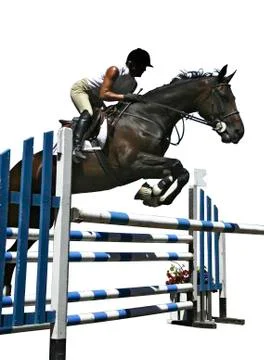 Jumping / springreiten Stock Photos