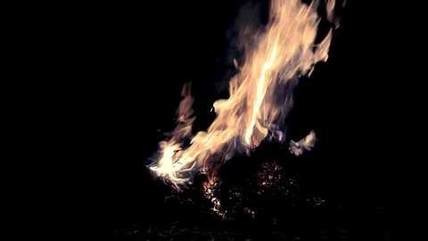 Jumping throughout the burning fire at night Stock Footage 86278384