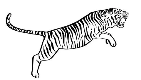 Jumping tiger hand drawn black and white sketch. Angry predator line art mascot. Stock Illustration