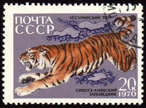 Jumping tiger on post stamp Stock Photos