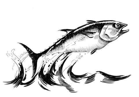 Jumping tuna Stock Illustration