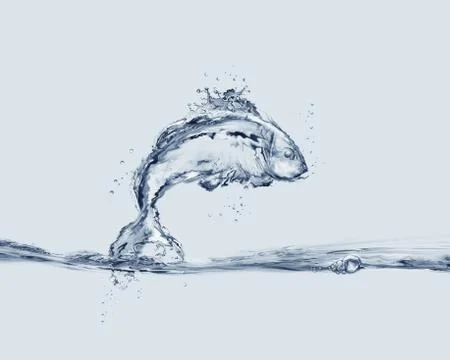 Jumping Water FIsh Stock Illustration