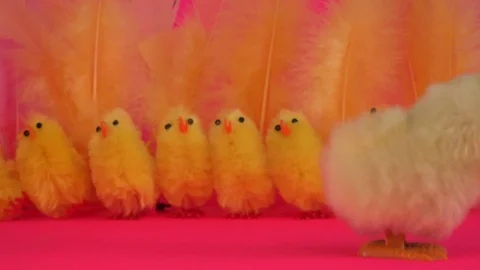 Jumping yellow Easter chicks Stock Footage 73865502