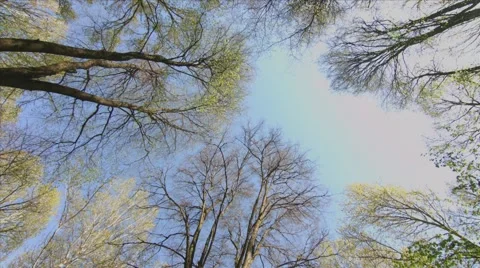 Jumps the camera Stock Footage 57686391