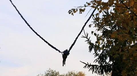 Jumps Stock Footage 10915128