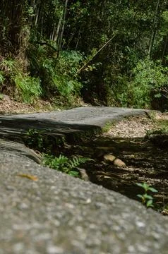 Junction of Pusing Waterfalls. 写真素材