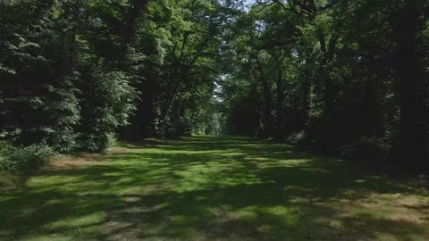 June 2022 - Push in aerial shot of a trail at Chāteau du Grand-Lucé 4K 30fps Stock Footage 203847657