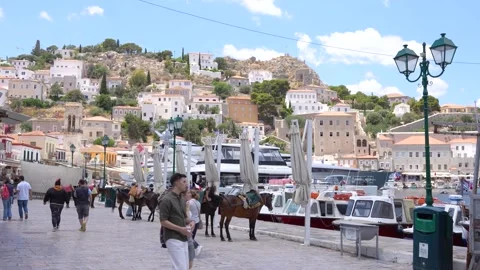 June 21, 2025: Hydra, Greece. At the Harbor Port in Greek Island. Donkeys W.. Stock Footage 336594438