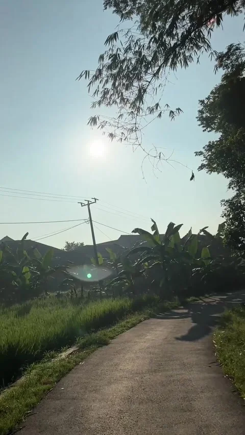 June 27, 2016 Rural Motorcycle Ride Through Rice Fields in Bandung Indonesia Stock Footage 337923967