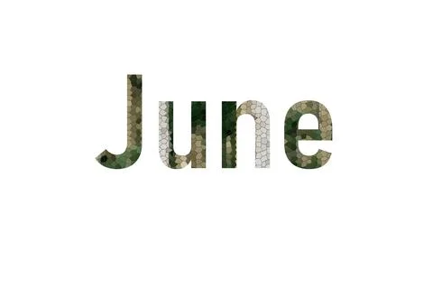 June Stock Illustration