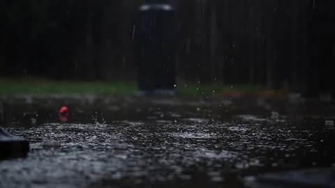 June Rain Stock Stock Footage 91564677