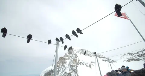 Junfraujoch Peak famous Stock Footage 107263259