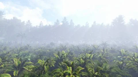 Jungle 01 Stock Photos