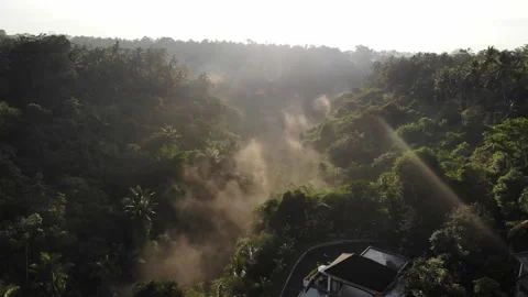 Jungle 4K Drone 4 Video stock 198880799