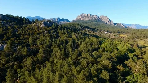 Jungle Aerial View Stock Footage 130106240