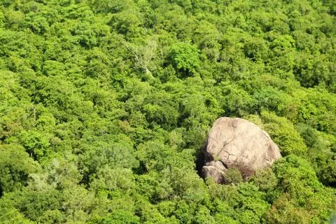 Jungle aerial view Stock Photos