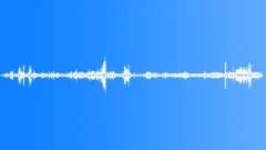 JUNGLE, AFRICA Sound Effect
